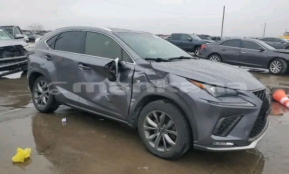 Buy Used Lexus NX Other Car in Batumi in Ajaria Buy Used Lexus NX Other Car in Batumi in Ajaria
