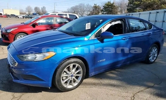 Buy Used Ford Focus Blue Car in Batumi in Ajaria Buy Used Ford Focus Blue Car in Batumi in Ajaria