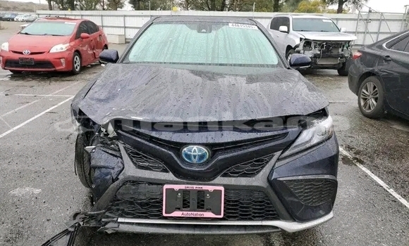 Buy Used Toyota Camry Other Car in Bagdadi in Imereti Buy Used Toyota Camry Other Car in Bagdadi in Imereti