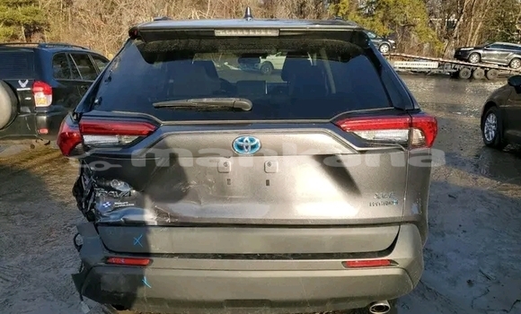 Buy Used Toyota RAV4 Other Car in Batumi in Ajaria Buy Used Toyota RAV4 Other Car in Batumi in Ajaria