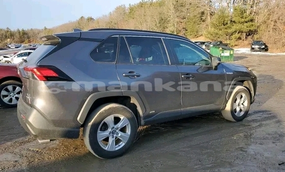 Buy Used Toyota RAV4 Other Car in Batumi in Ajaria Buy Used Toyota RAV4 Other Car in Batumi in Ajaria