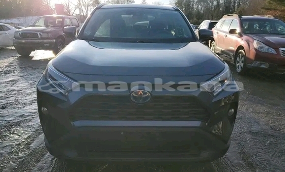 Buy Used Toyota RAV4 Other Car in Batumi in Ajaria Buy Used Toyota RAV4 Other Car in Batumi in Ajaria