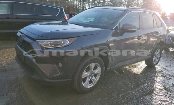 Buy Used Toyota RAV4 Other Car in Batumi in Ajaria Buy Used Toyota RAV4 Other Car in Batumi in Ajaria