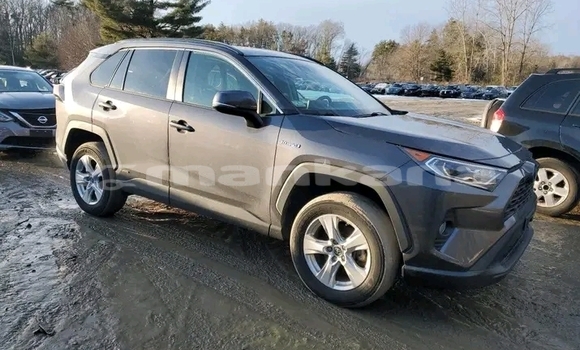 Buy Used Toyota RAV4 Other Car in Batumi in Ajaria Buy Used Toyota RAV4 Other Car in Batumi in Ajaria