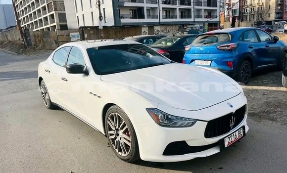 Buy Used Audi Q8 White Car in Bagdadi in Imereti Buy Used Audi Q8 White Car in Bagdadi in Imereti