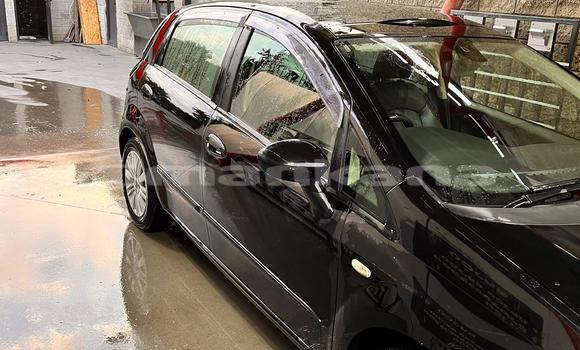 Buy Used Fiat Punto Black Car in Tbilisi in Tbilisi