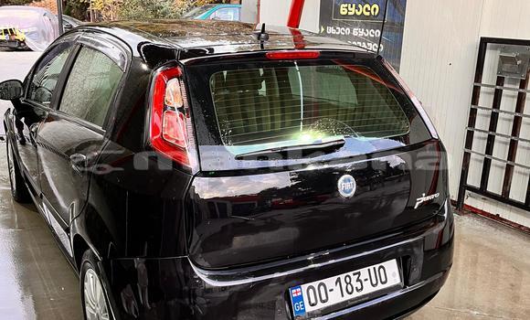 Buy Used Fiat Punto Black Car in Tbilisi in Tbilisi Buy Used Fiat Punto Black Car in Tbilisi in Tbilisi