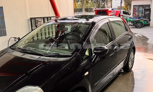 Buy Used Fiat Punto Black Car in Tbilisi in Tbilisi Buy Used Fiat Punto Black Car in Tbilisi in Tbilisi