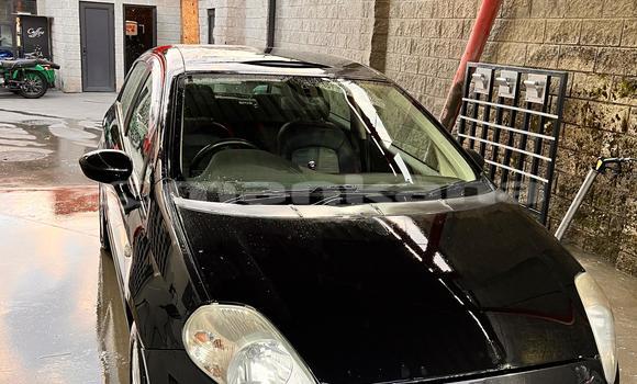 Buy Used Fiat Punto Black Car in Tbilisi in Tbilisi Buy Used Fiat Punto Black Car in Tbilisi in Tbilisi