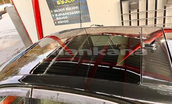 Buy Used Fiat Punto Black Car in Tbilisi in Tbilisi Buy Used Fiat Punto Black Car in Tbilisi in Tbilisi