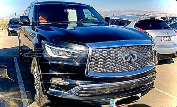 Buy Used Infiniti QX80 Black Car in Tbilisi in Tbilisi Buy Used Infiniti QX80 Black Car in Tbilisi in Tbilisi