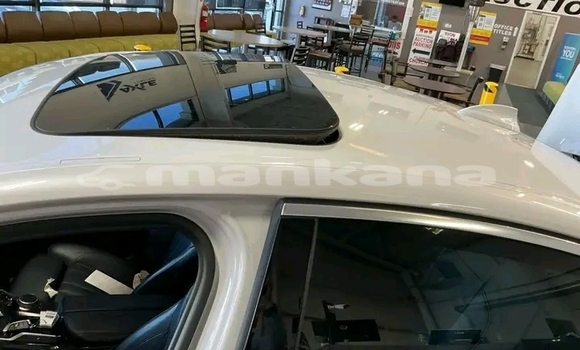 Buy Used BMW 503 White Car in Batumi in Ajaria Buy Used BMW 503 White Car in Batumi in Ajaria