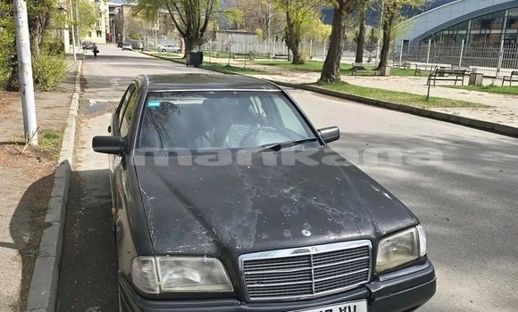 Buy Used Audi A1 Other Car in Bihvinta in Abhasia Buy Used Audi A1 Other Car in Bihvinta in Abhasia