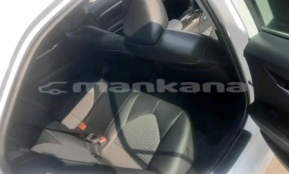 Buy Used Toyota Camry White Car in Borzhomi in Samche-Zhavaheti Buy Used Toyota Camry White Car in Borzhomi in Samche-Zhavaheti