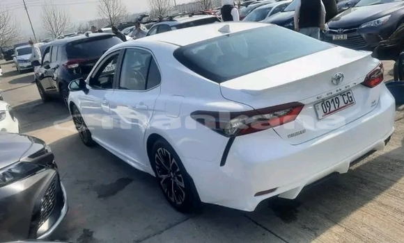 Buy Used Toyota Camry White Car in Borzhomi in Samche-Zhavaheti Buy Used Toyota Camry White Car in Borzhomi in Samche-Zhavaheti