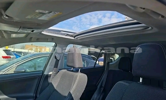 Buy Used Toyota RAV4 Other Car in Gudauta in Abhasia Buy Used Toyota RAV4 Other Car in Gudauta in Abhasia