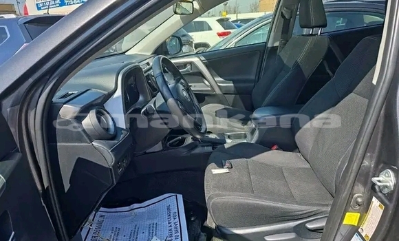 Buy Used Toyota RAV4 Other Car in Gudauta in Abhasia Buy Used Toyota RAV4 Other Car in Gudauta in Abhasia