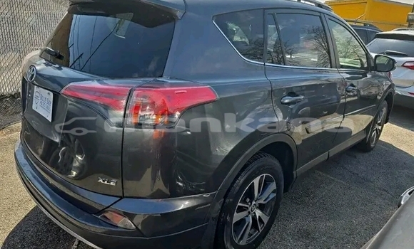 Buy Used Toyota RAV4 Other Car in Gudauta in Abhasia Buy Used Toyota RAV4 Other Car in Gudauta in Abhasia