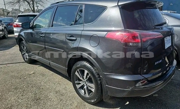 Buy Used Toyota RAV4 Other Car in Gudauta in Abhasia Buy Used Toyota RAV4 Other Car in Gudauta in Abhasia