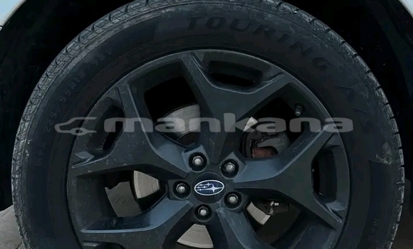 Buy Used Subaru Forester White Car in Bihvinta in Abhasia Buy Used Subaru Forester White Car in Bihvinta in Abhasia