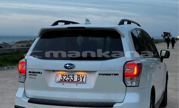 Buy Used Subaru Forester White Car in Bihvinta in Abhasia Buy Used Subaru Forester White Car in Bihvinta in Abhasia