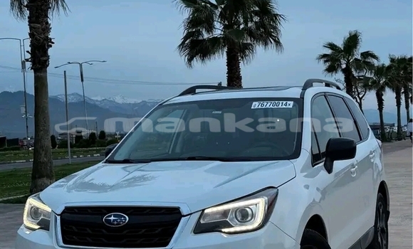 Buy Used Subaru Forester White Car in Bihvinta in Abhasia Buy Used Subaru Forester White Car in Bihvinta in Abhasia