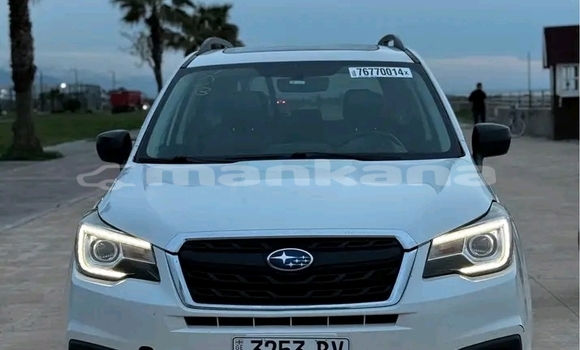 Buy Used Subaru Forester White Car in Bihvinta in Abhasia Buy Used Subaru Forester White Car in Bihvinta in Abhasia