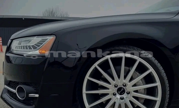 Buy Used Audi A8 Black Car in Bihvinta in Abhasia Buy Used Audi A8 Black Car in Bihvinta in Abhasia