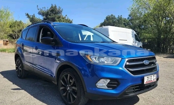 Buy Used Ford Escape Blue Car in Batumi in Ajaria Buy Used Ford Escape Blue Car in Batumi in Ajaria