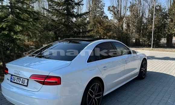 Buy Used Audi A8 White Car in Gurdzhaani in Kaheti Buy Used Audi A8 White Car in Gurdzhaani in Kaheti