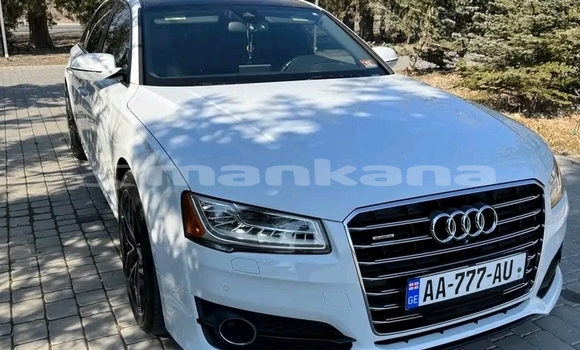 Buy Used Audi A8 White Car in Gurdzhaani in Kaheti Buy Used Audi A8 White Car in Gurdzhaani in Kaheti