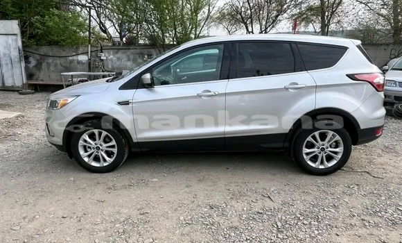 Buy Used Ford Escape White Car in Batumi in Ajaria Buy Used Ford Escape White Car in Batumi in Ajaria