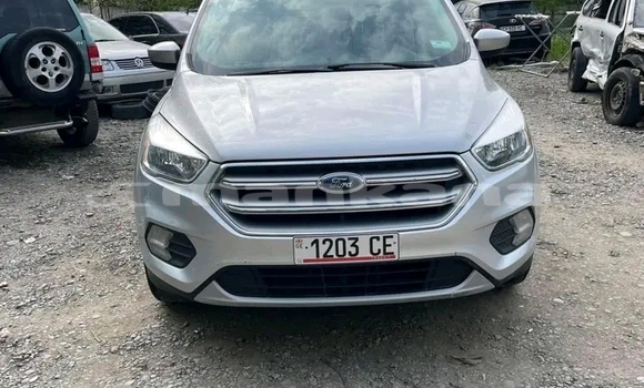 Buy Used Ford Escape White Car in Batumi in Ajaria Buy Used Ford Escape White Car in Batumi in Ajaria