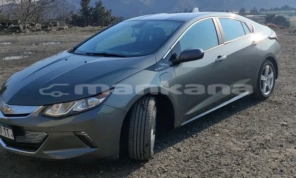 Buy Used Hyundai Elantra Other Car in Gulripshi in Abhasia Buy Used Hyundai Elantra Other Car in Gulripshi in Abhasia