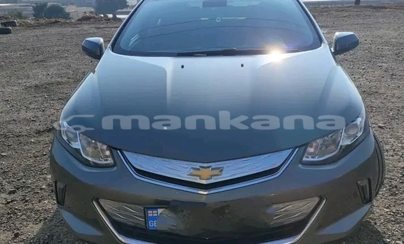 Buy Used Hyundai Elantra Other Car in Gulripshi in Abhasia Buy Used Hyundai Elantra Other Car in Gulripshi in Abhasia
