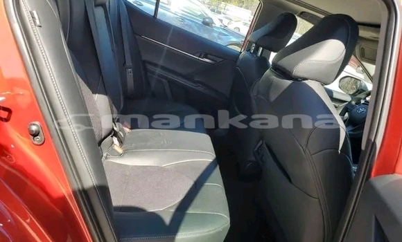 Buy Used Toyota Camry Red Car in Gurdzhaani in Kaheti Buy Used Toyota Camry Red Car in Gurdzhaani in Kaheti