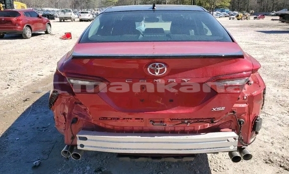 Buy Used Toyota Camry Red Car in Gurdzhaani in Kaheti Buy Used Toyota Camry Red Car in Gurdzhaani in Kaheti