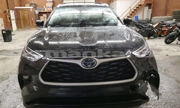 Buy Used Toyota Highlander Black Car in Borzhomi in Samche-Zhavaheti Buy Used Toyota Highlander Black Car in Borzhomi in Samche-Zhavaheti