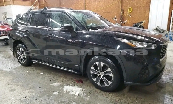 Buy Used Toyota Highlander Black Car in Borzhomi in Samche-Zhavaheti Buy Used Toyota Highlander Black Car in Borzhomi in Samche-Zhavaheti