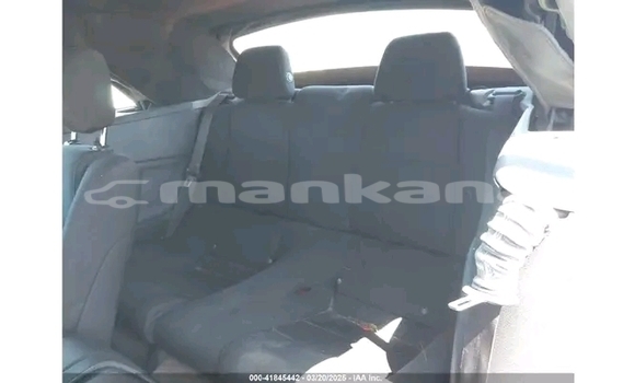 Buy Used Ford Mustang Red Car in Gagra in Abhasia Buy Used Ford Mustang Red Car in Gagra in Abhasia