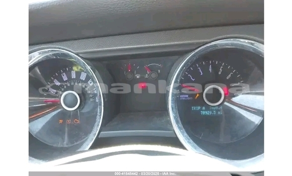 Buy Used Ford Mustang Red Car in Gagra in Abhasia Buy Used Ford Mustang Red Car in Gagra in Abhasia