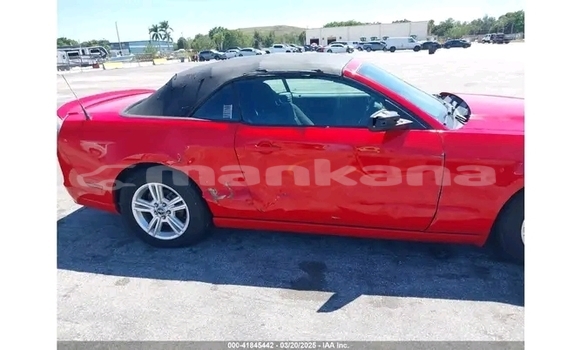 Buy Used Ford Mustang Red Car in Gagra in Abhasia Buy Used Ford Mustang Red Car in Gagra in Abhasia