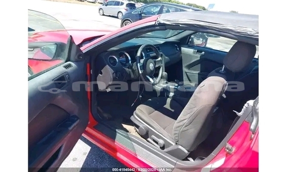 Buy Used Ford Mustang Red Car in Gagra in Abhasia Buy Used Ford Mustang Red Car in Gagra in Abhasia
