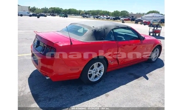 Buy Used Ford Mustang Red Car in Gagra in Abhasia Buy Used Ford Mustang Red Car in Gagra in Abhasia