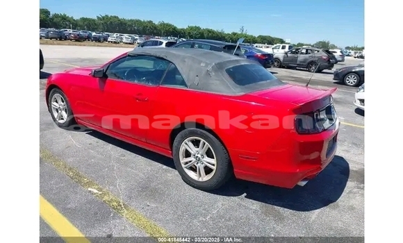 Buy Used Ford Mustang Red Car in Gagra in Abhasia Buy Used Ford Mustang Red Car in Gagra in Abhasia