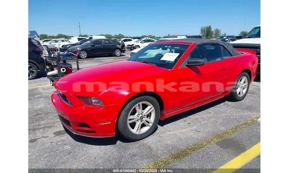Buy Used Ford Mustang Red Car in Gagra in Abhasia Buy Used Ford Mustang Red Car in Gagra in Abhasia