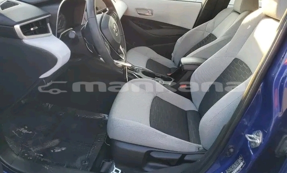 Buy Used Toyota Corolla Blue Car in Bihvinta in Abhasia