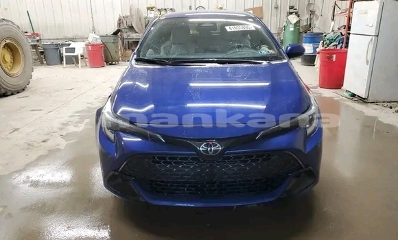 Buy Used Toyota Corolla Blue Car in Bihvinta in Abhasia Buy Used Toyota Corolla Blue Car in Bihvinta in Abhasia