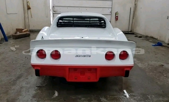 Buy Used Chevrolet Corvette Other Car in Bihvinta in Abhasia Buy Used Chevrolet Corvette Other Car in Bihvinta in Abhasia