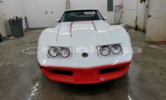 Buy Used Chevrolet Corvette Other Car in Bihvinta in Abhasia Buy Used Chevrolet Corvette Other Car in Bihvinta in Abhasia